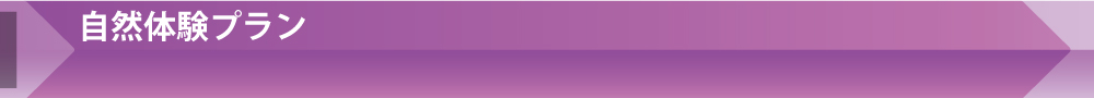 自然体験プラン